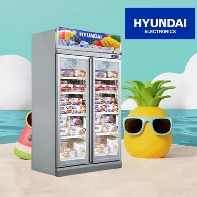 Coolers & Freezers showcases HYUNDAI