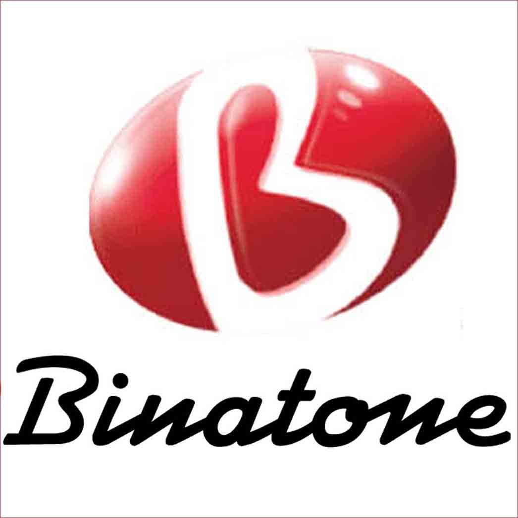 logo binatone