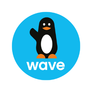 wave money mobile paiement en ligne securisé